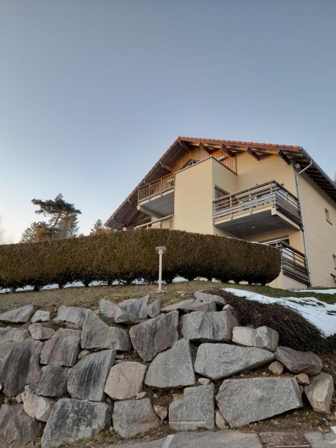 Ferienwohnung Le Lougo Gérardmer Exterior foto